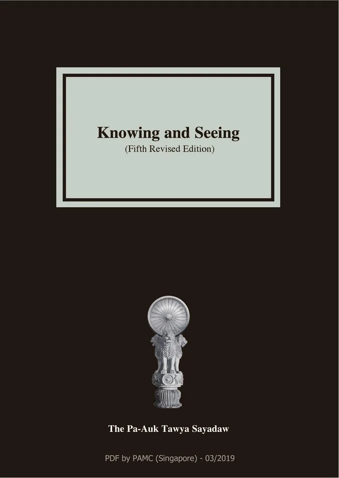 Knowing and Seeing book cover